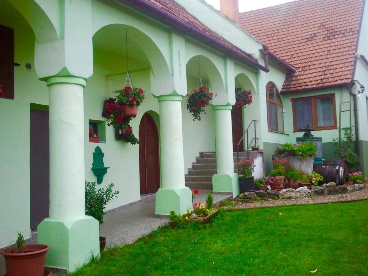 Hotel Na Upati Palavy Horni Vestonice Exterior foto