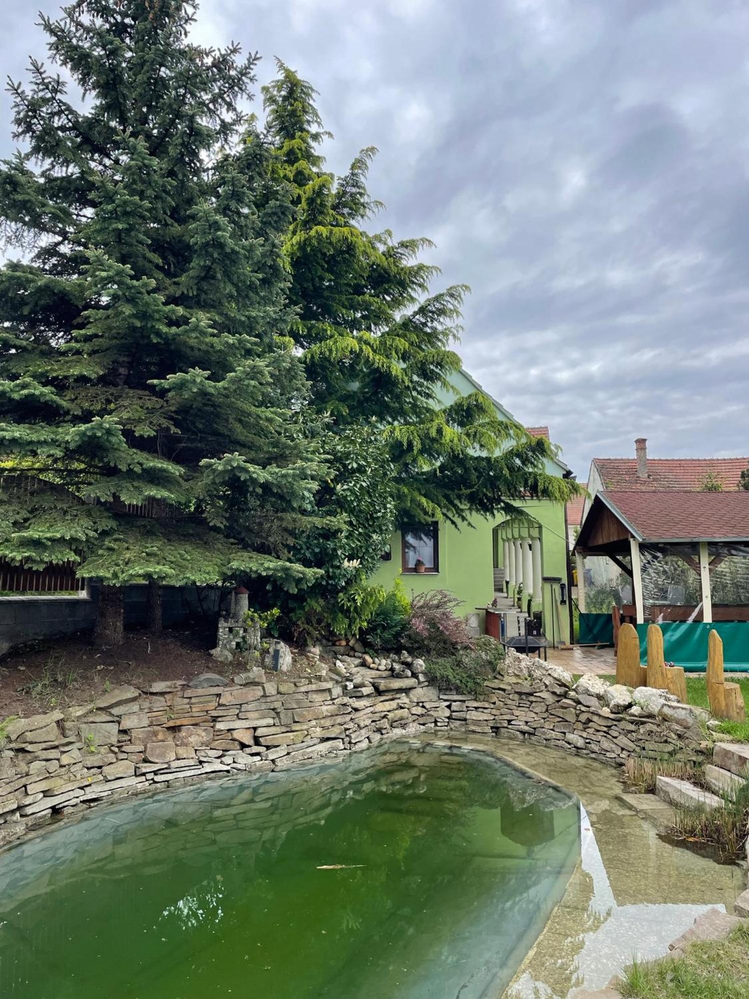 Hotel Na Upati Palavy Horni Vestonice Exterior foto