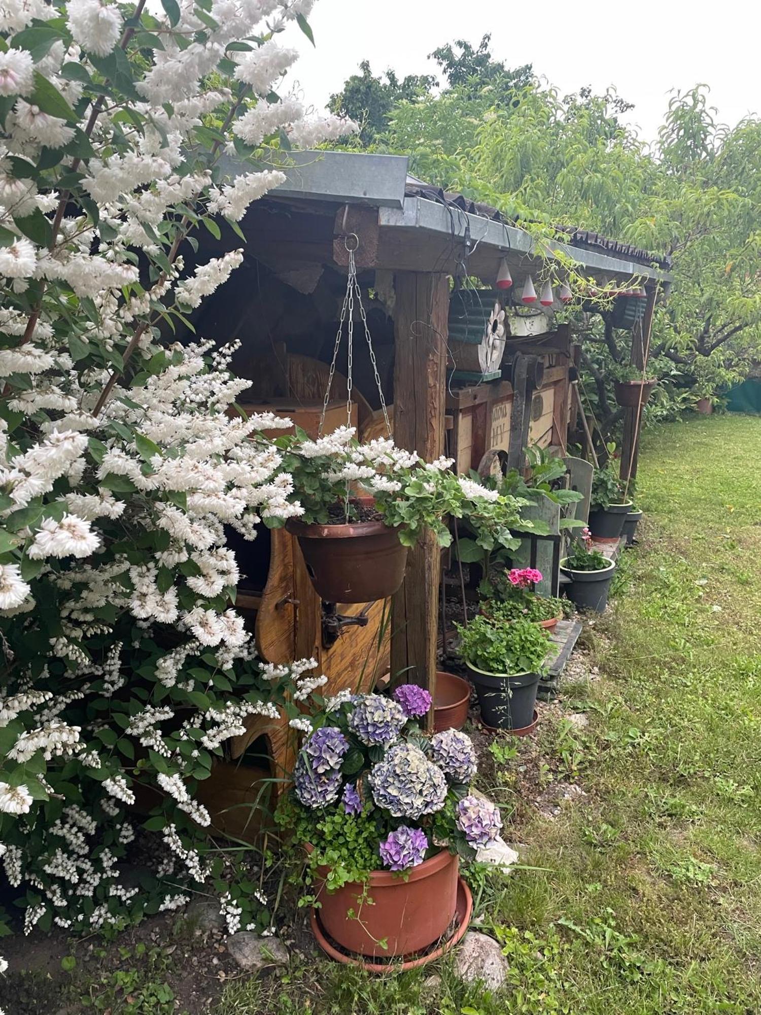 Hotel Na Upati Palavy Horni Vestonice Exterior foto
